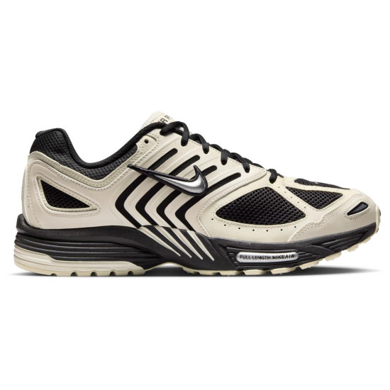 Nike Air Pegasus 2005